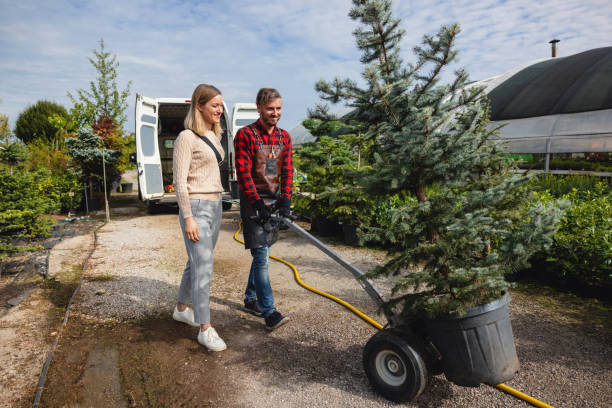 Best Lawn Pest Prevention  in North Bend, WA